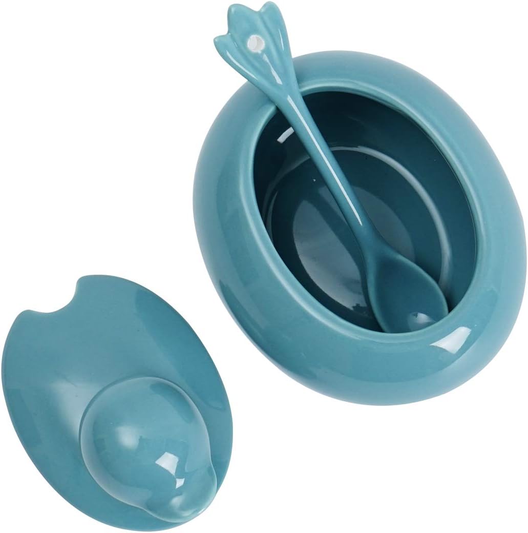 HSOFBLUES Ceramic Sugar Bowl with Spoon and Lid, Cute Duck Farmhouse Style Seasoning Salt Storage Turquoise Blue